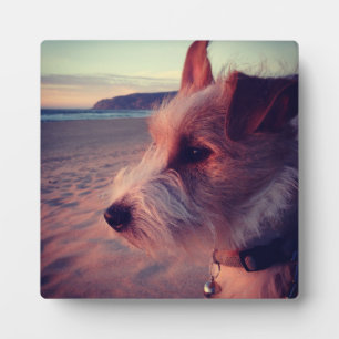 Dog Facing The Beach Plaque