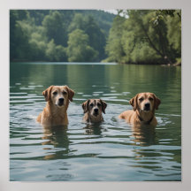 Dog Family Swimming in Lake – Tranquil Nature Art