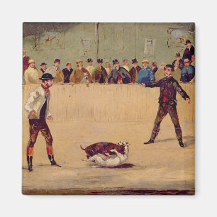 Dog Fighting (oil on paper) Magnet