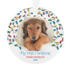 Dog First Christmas Christmas Lights Puppy Photo