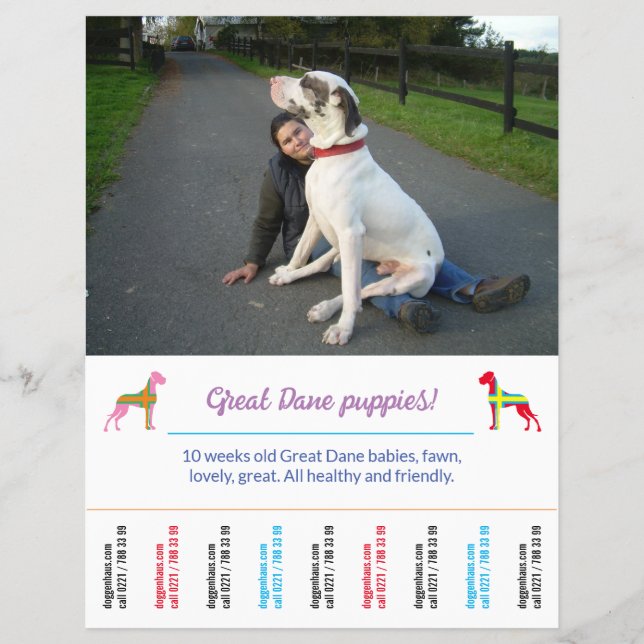 dog flyer template printable (Front)
