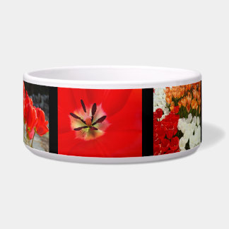 Dog Food Water bowl Red Tulip Flowers Doggy gifts
