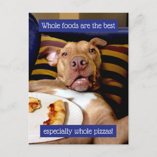 Dog Full Of Pizza Invitation Postcard