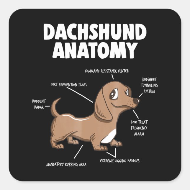 Dog Gift | Anatomy Dachshund  Funny Weiner Square Sticker (Front)
