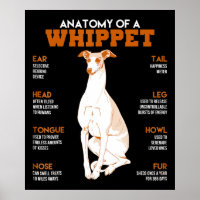 Dog Gift | anatomy of a whippet dogs t funny gift