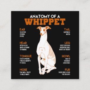 Dog Gift   anatomy of a whippet dogs t  funny gift Square Business Card