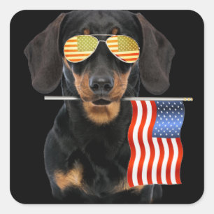 Dog Gift Dachshund With Flag Usa Square Sticker