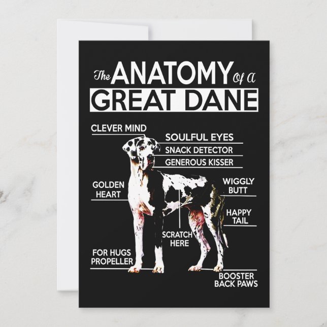Dog Gift | The Anatomy Of A Great Dane Thank You Card (Front)