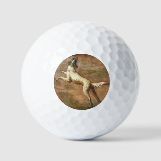dog golf balls (Front)