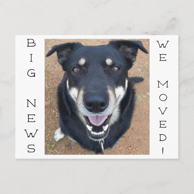 Dog gone HAPPY! Postcard (Front)