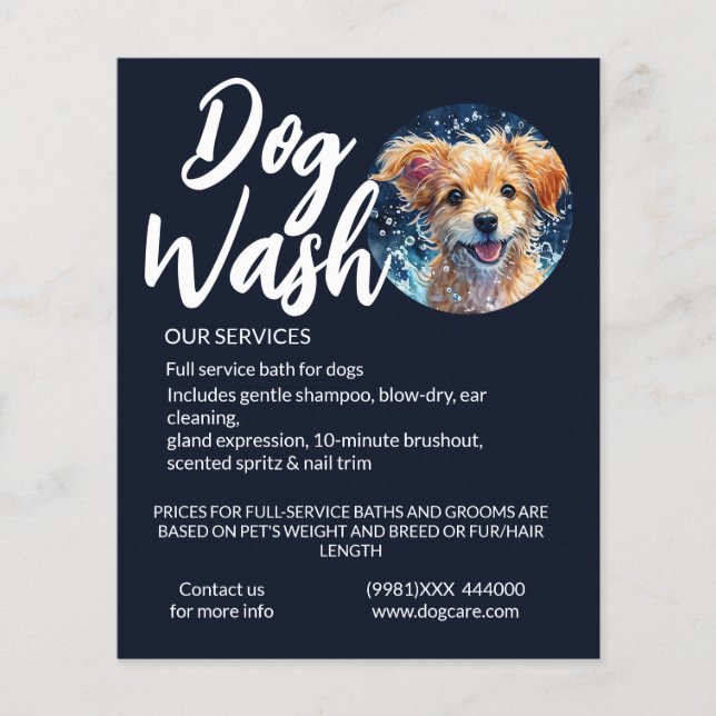 dog groom wash  flyer (Front)