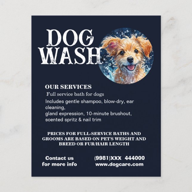 dog groom wash  flyer (Front)