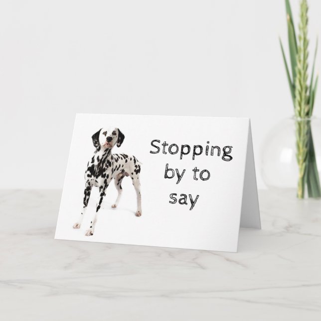DOG GROOMER, VETERINARIAN AND DOG WALKER CARD (Front)
