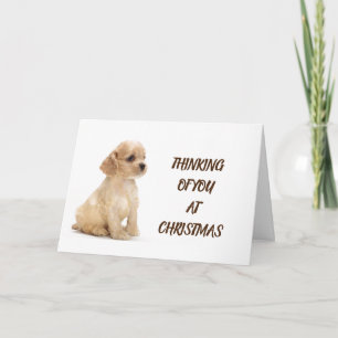 DOG GROOMER, VETERINARIAN AND DOG WALKER CARD
