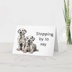 DOG GROOMER, VETERINARIAN AND DOG WALKER CARD