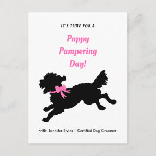Dog Grooming Appointment Pink Bow Black Puppy Postcard