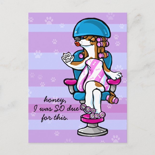 Dog Grooming Appointment reminder Postcard (Front)