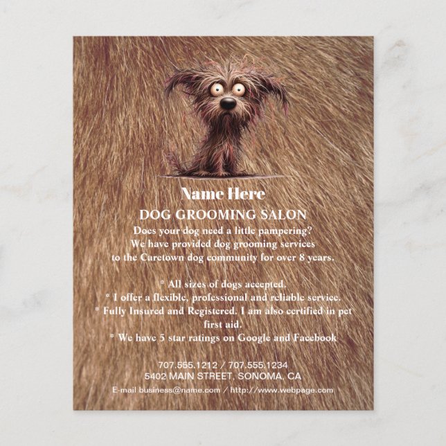 Dog grooming business personalized flyer (Front)