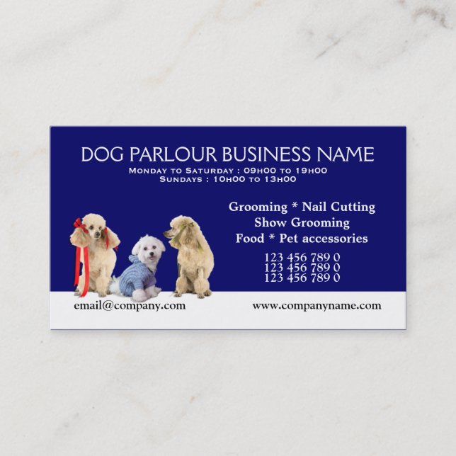 Dog grooming pet care PERSONALIZE Discount Card (Front)