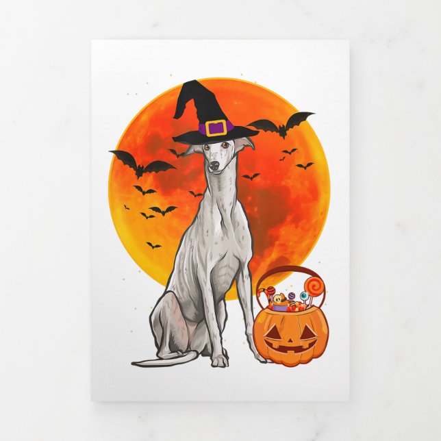 Dog Halloween Greyhound Jack O Lantern Pumpkin Tri-Fold Announcement (Cover)