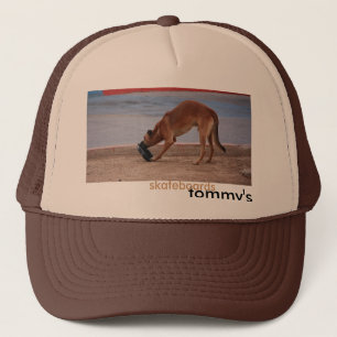 dog hat