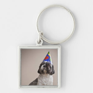 Dog having birthday keychain