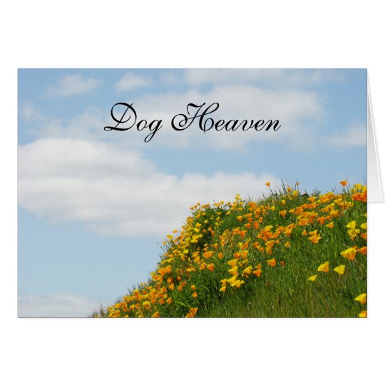 Dog Heaven Sympathy Cards Sorry for your Loss!