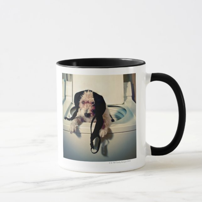 Dog helping out with the wash mug (Right)