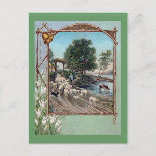 Dog Herding Sheep Down Path Postcard