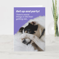Dog Hiding Face - There's Worse Things Birthday