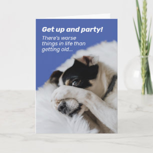 Dog Hiding Face - There's Worse Things Birthday Card