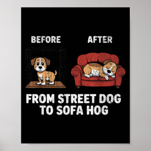 Dog Hog Dog Adoption Street Sofa Rescue Meme Poster