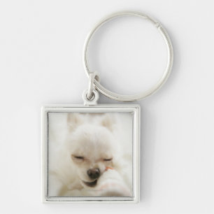 Dog holding toy in mouth keychain