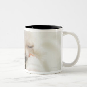 Dog holding toy in mouth Two-Tone coffee mug