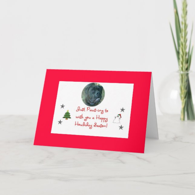 dog holiday card (Front)