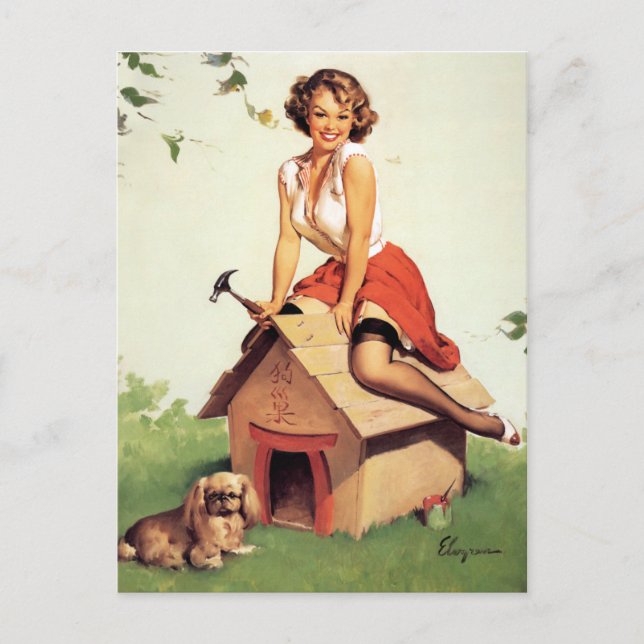 Dog House Pin Up Postcard (Front)
