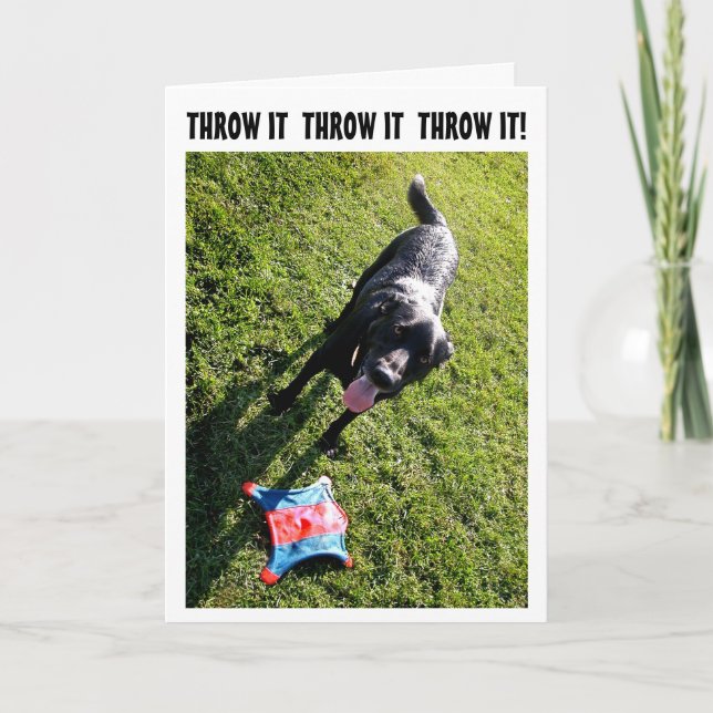Dog humour birthday card (Front)