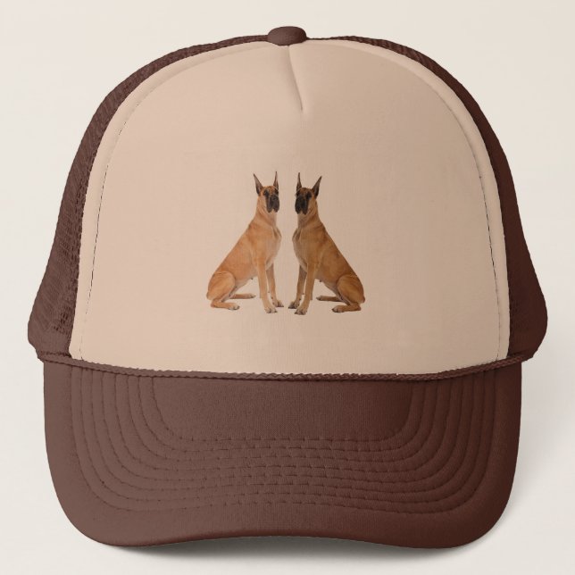 Dog Image for Panel Cap (Front)