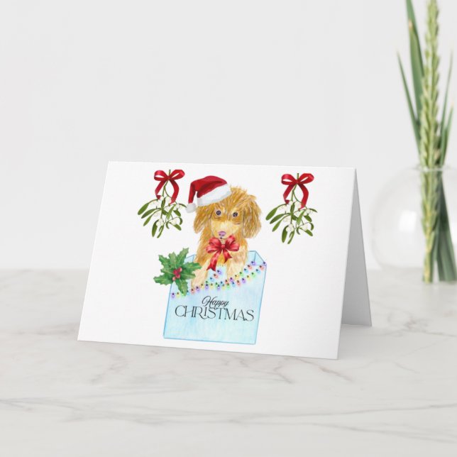 Dog in A blue box Christmas Card (Front)