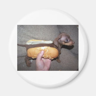 Dog in a Bun Magnet