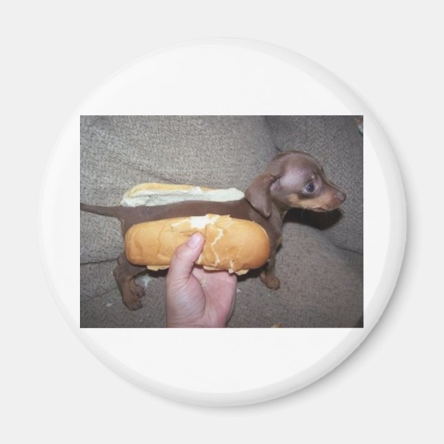 Dog in a Bun Magnet (Front)