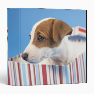 Dog in a Gift Box Binder