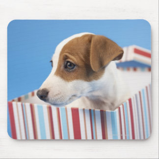Dog in a Gift Box Mouse Pad