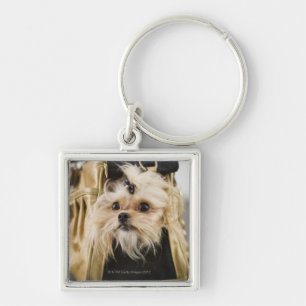 Dog in a purse keychain