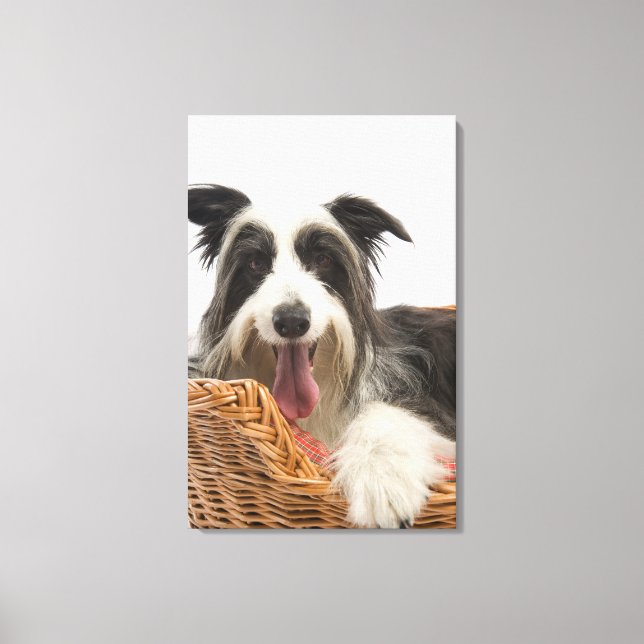 Dog in basket 2 canvas print (Front)