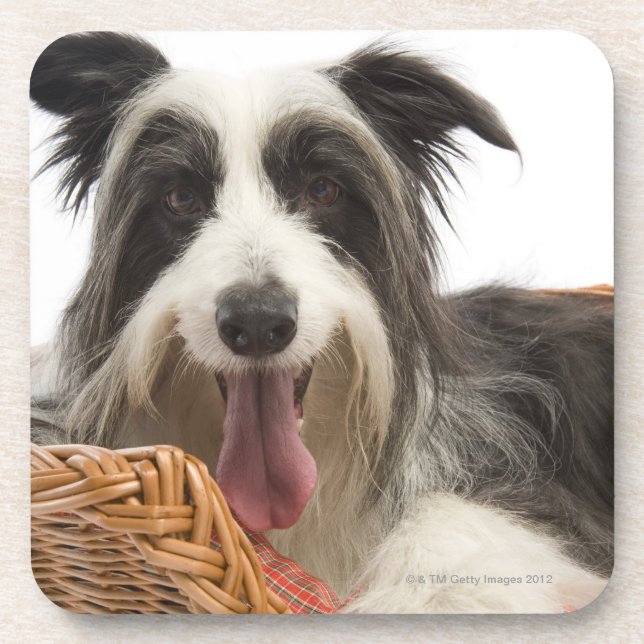 Dog in basket 2 coaster (Front)