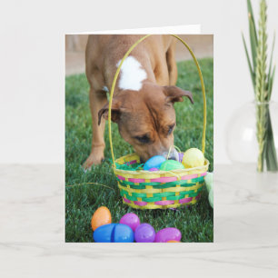 Dog in Basket Easter Card