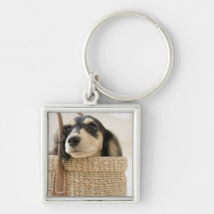 Dog in basket keychain