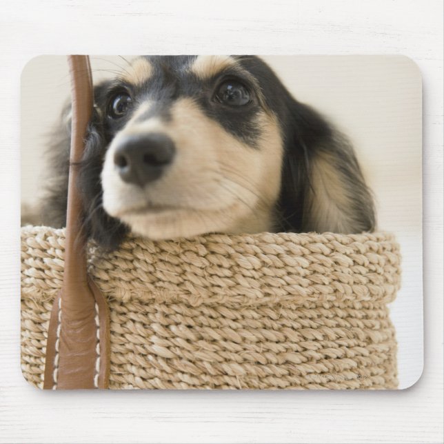 Dog in basket mouse pad (Front)