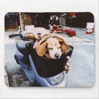 Dog in Basket of Motorscooter Mouse Pad